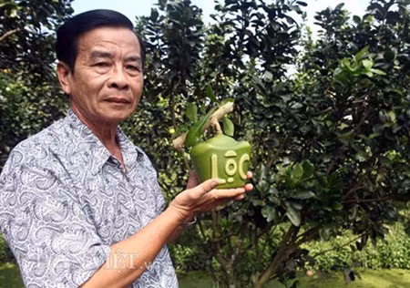 Dans le delta du Mékong, des fruits stylisés pour le Têt ảnh 1