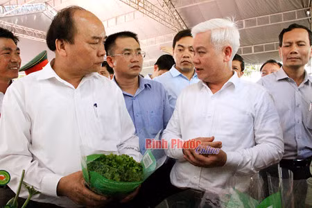 Le Premier ministre travaille dans la province de Binh Phuoc ảnh 1
