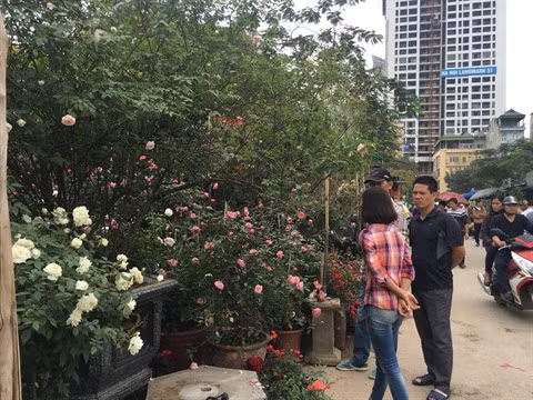 Le marché floral de Van Phuc bat son plein à l’approche du Têt ảnh 1