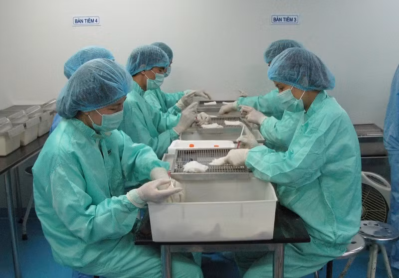 VABIOTECH teste un vaccin contre le COVID-19 sur des singes ảnh 1