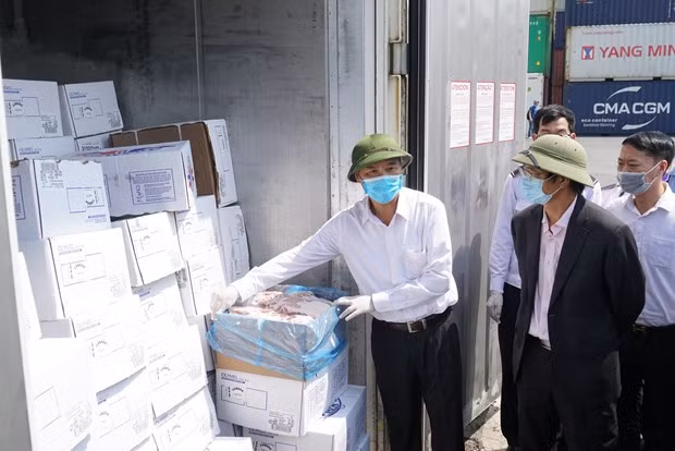 Le porc importé au Vietnam provient de quel marché ? ảnh 2