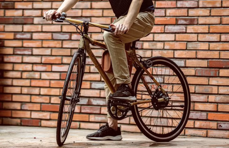 Wiibike: pédaler sans transpirer… ảnh 4