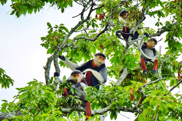 Biodiversité : élaboration d’un plan pour la période 2021-2030 ảnh 1 Biodiversité : élaboration d’un plan pour la période 2021-2030 ảnh 1
