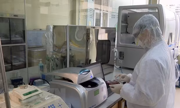 COVID-19 : le décès du 251e patient n’est pas dû au coronavirus ảnh 1