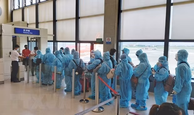 COVID-19 : 350 Vietnamiens rapatriés du Royaume-Uni ảnh 1