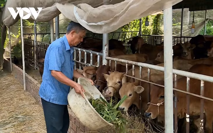 Duong Van Tao, un entrepreneur accompli ảnh 1