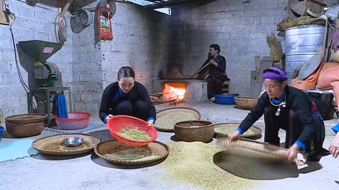 Bac Hà et son côm nêp nuong ảnh 1