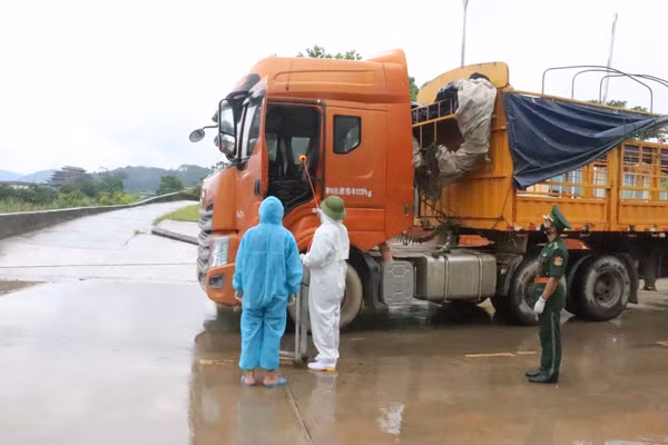 Quang Ninh assure le contrôle de l’épidémie dans les activités d’import-export ảnh 2 Quang Ninh assure le contrôle de l’épidémie dans les activités d’import-export ảnh 2