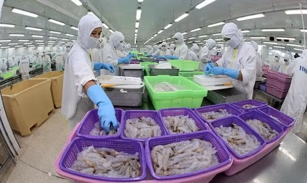 Le potentiel des exportations vers l'Eurasie est énorme ảnh 1