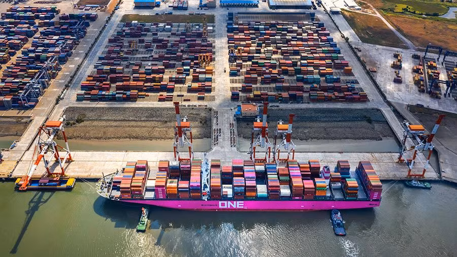 De nombreuses perspectives d'exportation vers le marché américain ảnh 1