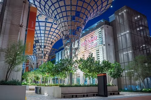 Un spectacle grandiose pour célébrer le Vietnam à l’EXPO 2020 Dubaï ảnh 2