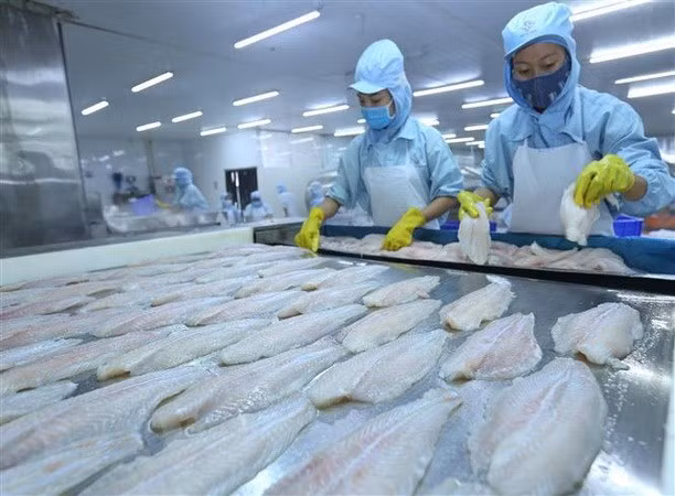 Les exportations de pangasius sont prometteuses ảnh 1