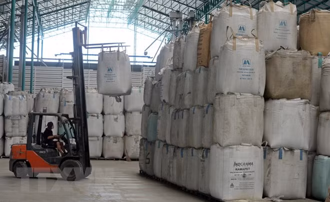 Les exportations thaïlandaises de riz devraient atteindre plus de 11 millions de tonnes cette année ảnh 1