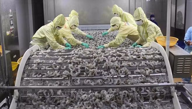 Bilan économique des 6 premiers mois: le "double objectif" toujours atteint ảnh 1
