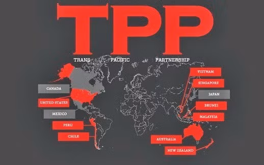 La signature du TPP est un jalon important ảnh 1