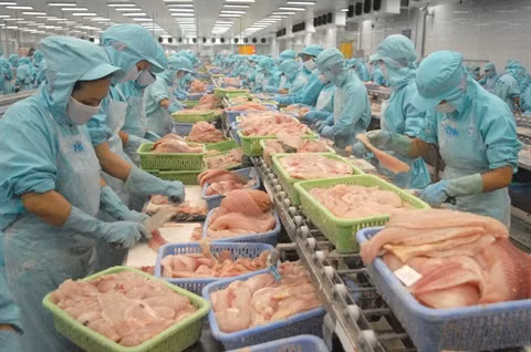 Les fruits de mer vietnamiens cherchent à revoir la vie en vert en UE ảnh 1