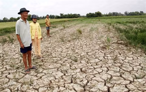 Le delta du Mékong à l’épreuve des changements climatiques ảnh 3