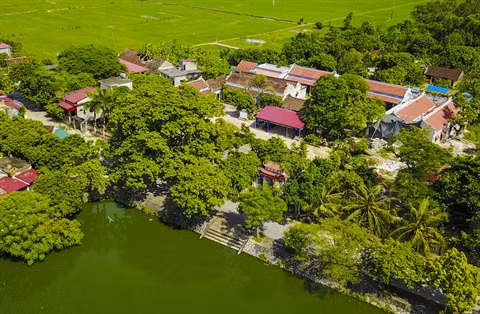 Ninh Binh renforce le programme d’édification de la nouvelle ruralité ảnh 1