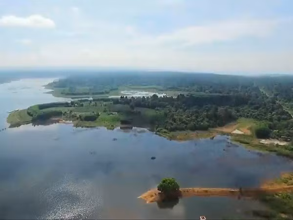Projet de parc safari dans la province de Dong Nai ảnh 1