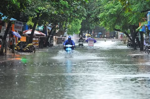 Débat sur les impacts des inondations du Vietnam à Paris ảnh 1