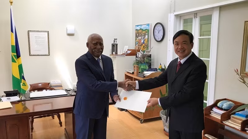 L'Ambassadeur vietnamien à Saint-Vincent-et-les-Grenadines présente ses lettres de créance ảnh 1