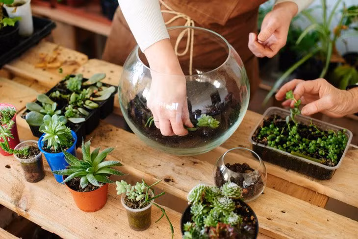 Le terrarium végétal enchante les jeunes ảnh 1