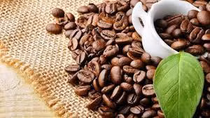 Café: plus de 1,6 milliard de dollars d’exportation au 1er semestre ảnh 1