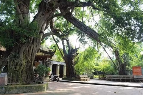 Phô Hiên, le célèbre site historique de Hung Yên ảnh 2