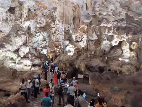 Une expérience inoubliable pour les étudiants francophones au Vietnam ảnh 3