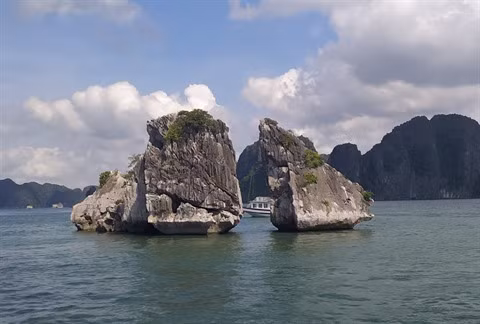 Une expérience inoubliable pour les étudiants francophones au Vietnam ảnh 2 Une expérience inoubliable pour les étudiants francophones au Vietnam ảnh 2
