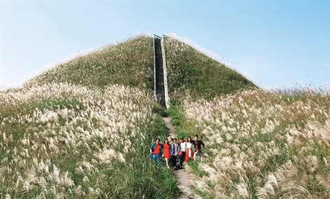 Binh Liêu, écrin de nature dans la province de Quang Ninh ảnh 1