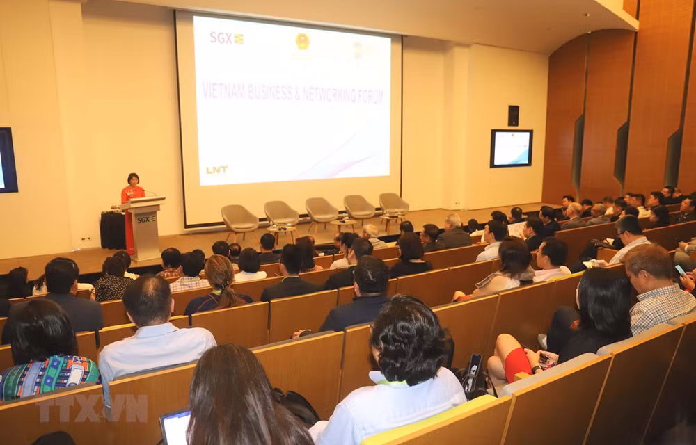Forum d’affaires du Vietnam à Singapour ảnh 1