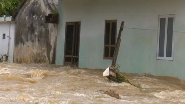 La tempête Wipha cause des dégâts dans plusieurs localités ảnh 1