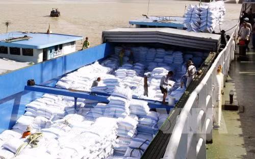 Dong Thap : les exportations rapportent plus d’un milliard de dollars ảnh 1