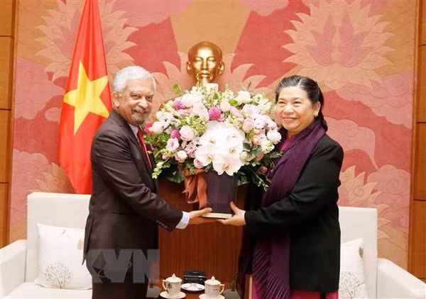 Renforcement des relations entre le Vietnam et l’ONU ảnh 1
