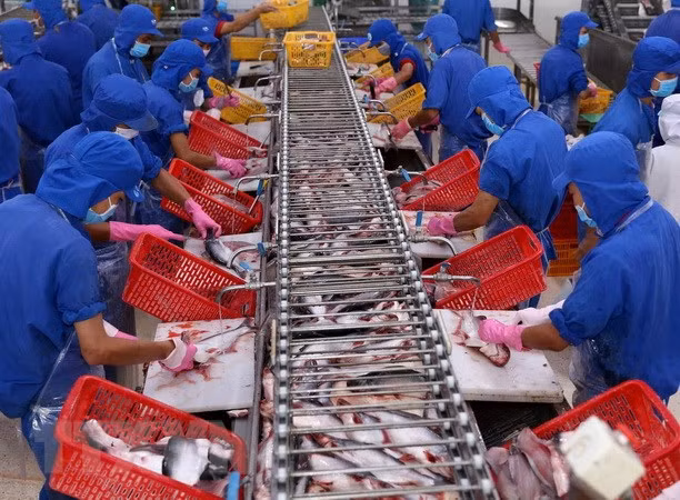 Hausse de 10% des exportations des produits aquatiques ảnh 1