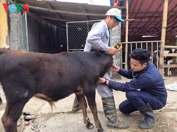 Nguyen Van Minh, un prof passionné ảnh 1 Nguyen Van Minh, un prof passionné ảnh 1