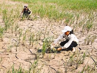 Changements climatiques: l’ONU s’engage à coopérer à long terme avec le Vietnam ảnh 1
