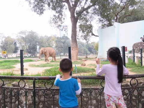 Les espaces verts pour les enfants à Hanoï ảnh 3 Les espaces verts pour les enfants à Hanoï ảnh 3