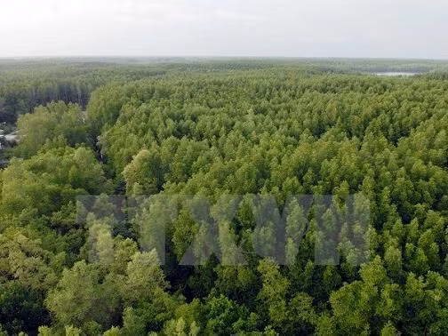 Programme national de réduction de la déforestation ảnh 1