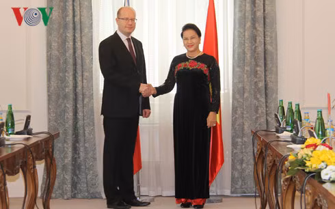Créer une percée dans les relations commerciales Vietnam-R. tchèque ảnh 1