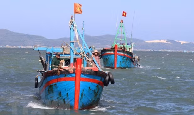 Approbation du plan de prévention et de contrôle de la pêche INN d'ici 2025 ảnh 1