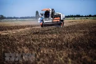 Préparer un plan pour répondre au changement climatique pour la période 2021-2030 ảnh 1 Préparer un plan pour répondre au changement climatique pour la période 2021-2030 ảnh 1