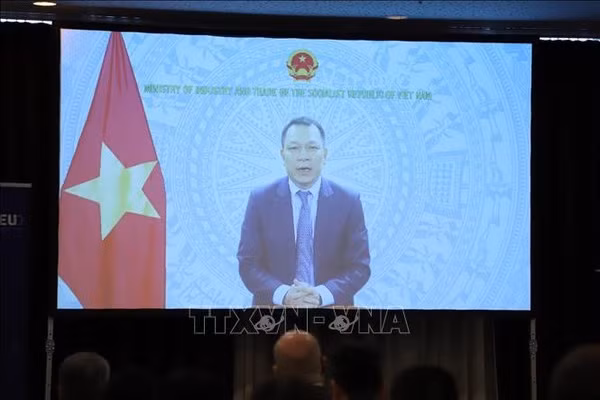 L'Allemagne est prête à soutenir le Vietnam dans la transition énergétique ảnh 2