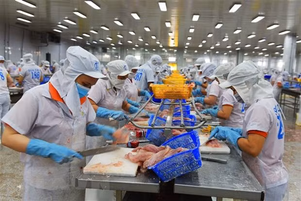 Les exportations vietnamiennes vers le marché mexicain sont prometteuses ảnh 1