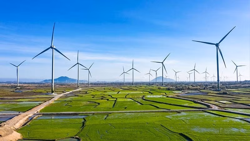Promouvoir la croissance verte au Vietnam ảnh 1
