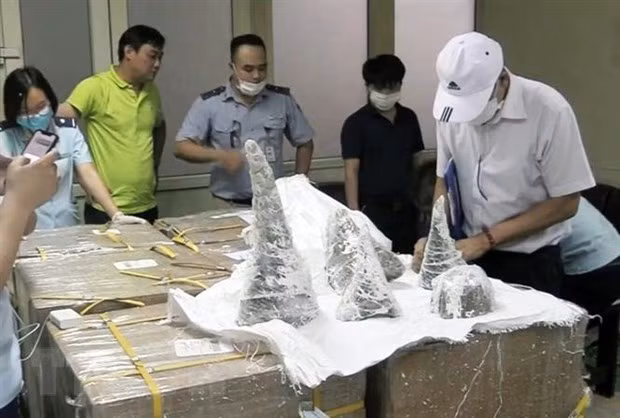 Plus de 16 kg de cornes de rhinocéros et d'ivoires saisis à l’aéroport de Noi Bai ảnh 1