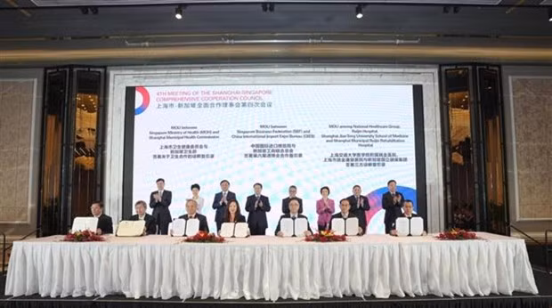 Singapour et Shanghai signent 15 accords économiques ảnh 1