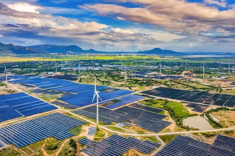 Mesures nécessaires pour supprimer les obstacles aux centrales éoliennes et solaires ảnh 1