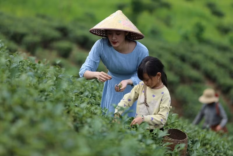 Le tourisme rural possède de nombreux potentiels ảnh 1 Le tourisme rural possède de nombreux potentiels ảnh 1